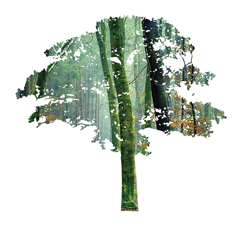 Serie Wood | Lasciati conquistare dalle venature naturali del legno e goditi l'eleganza naturale